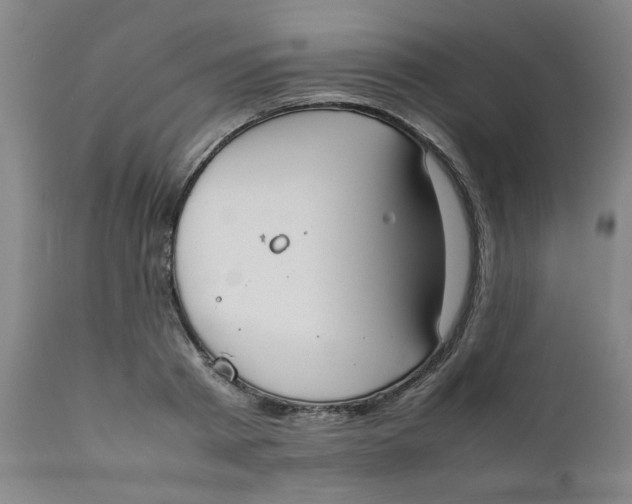 X0000111780793200908131347