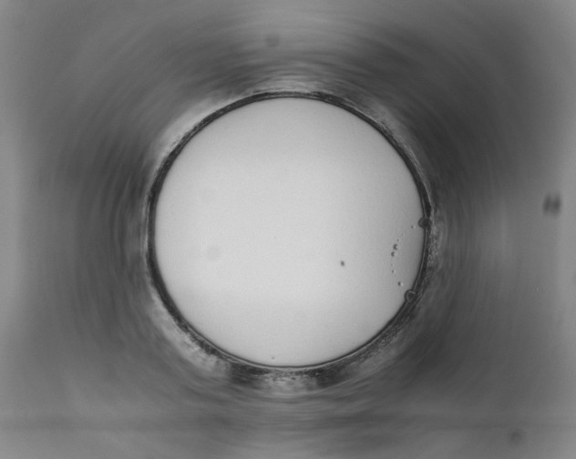 X0000111780795200908131347