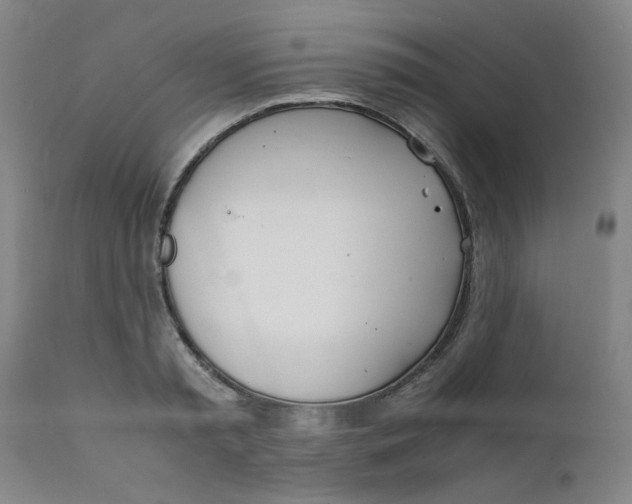 X0000111780797200908131347