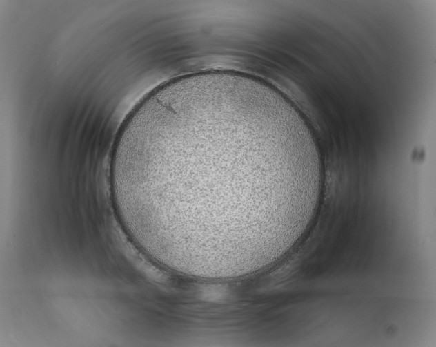 X0000111780798200908131347