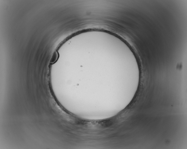 X0000111780799200908131347