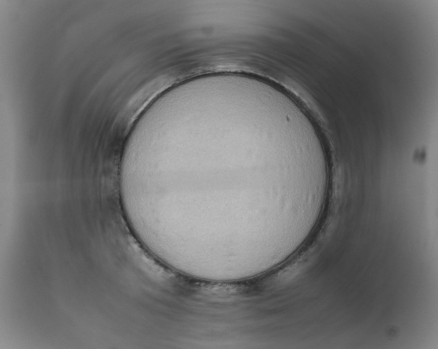 X0000111780801200908131347