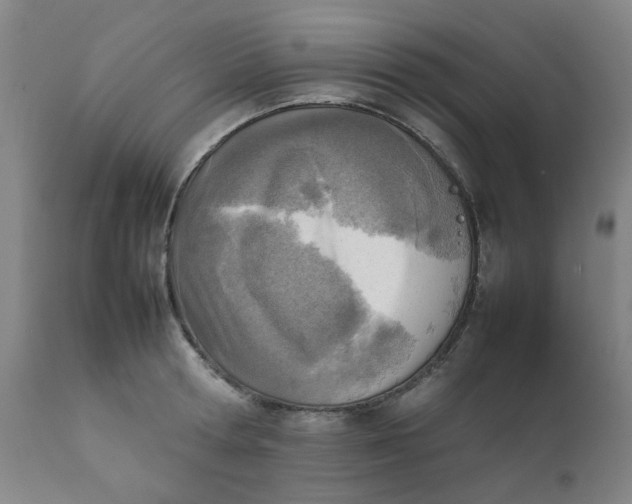 X0000111780802200908131347