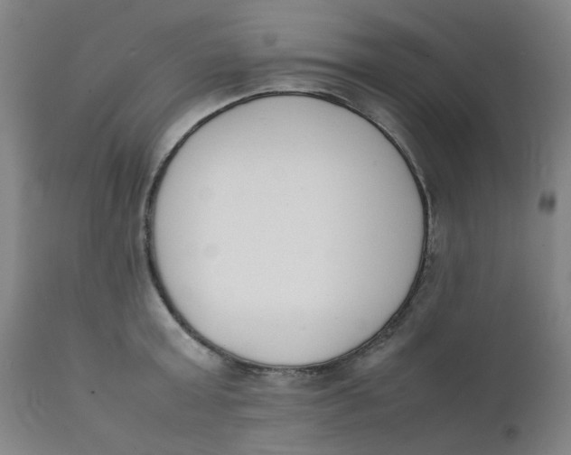 X0000111780803200908131347