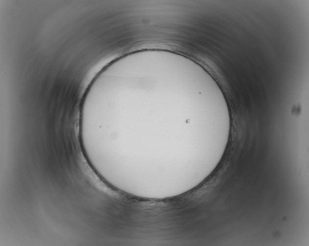 X0000111780804200908131347