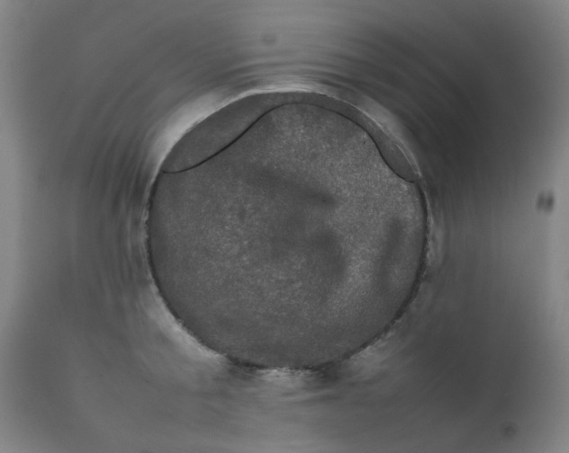 X0000111780805200908131347