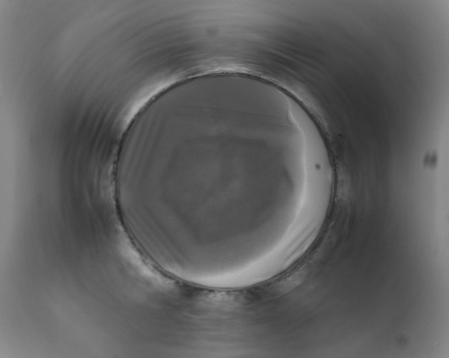 X0000111780806200908131347