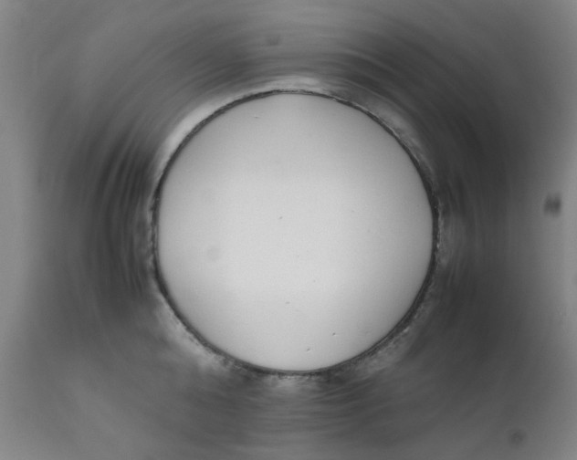 X0000111780808200908131347