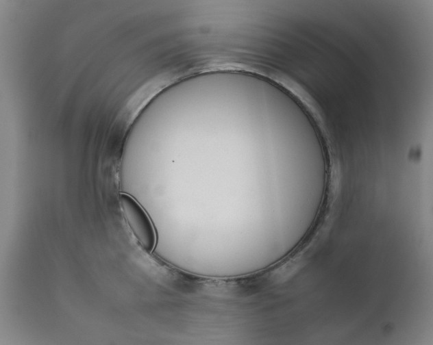 X0000111780809200908131347