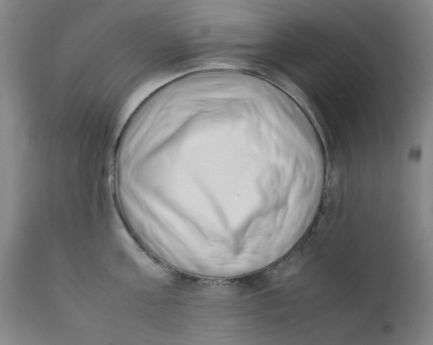 X0000111780811200908131347