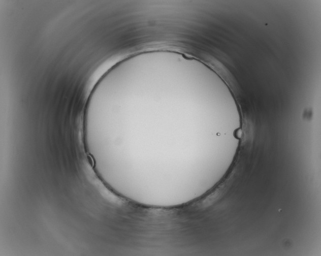 X0000111780812200908131347