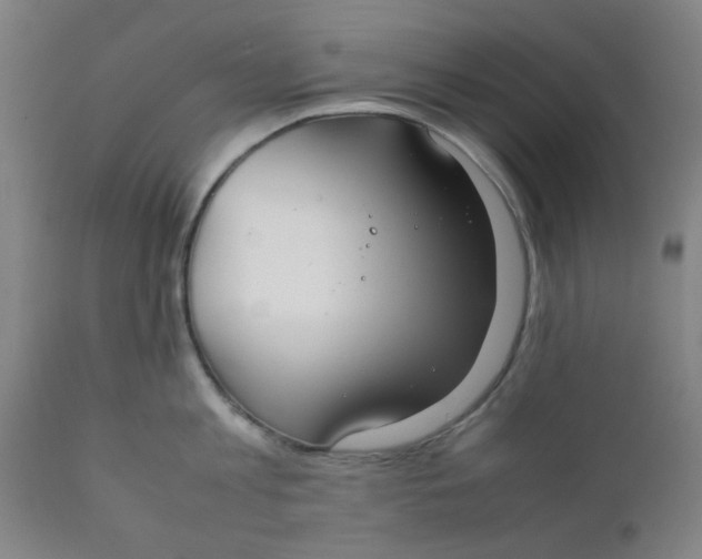 X0000111780813200908131347