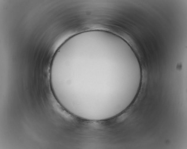 X0000111780814200908131347
