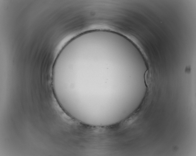 X0000111780815200908131347