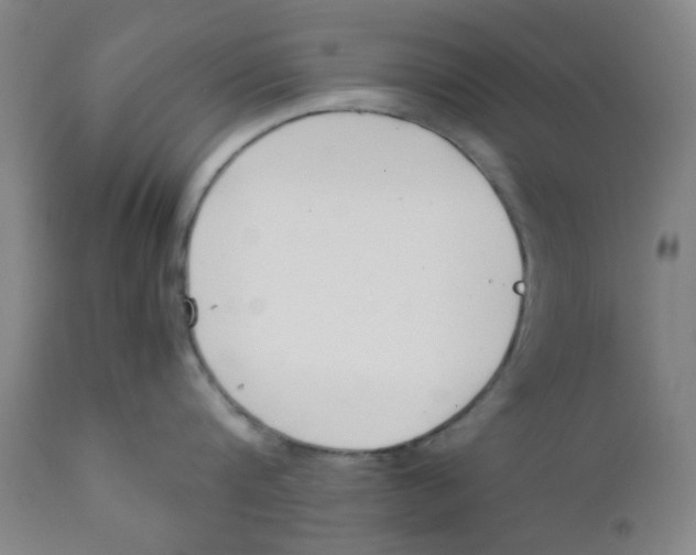 X0000111780816200908131347