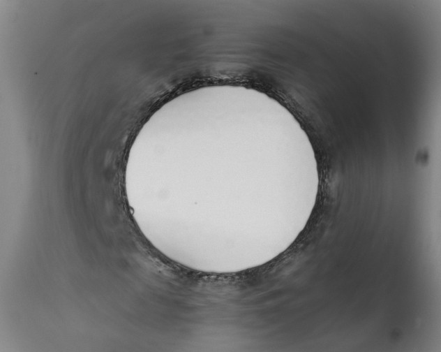 X0000111780817200908131346