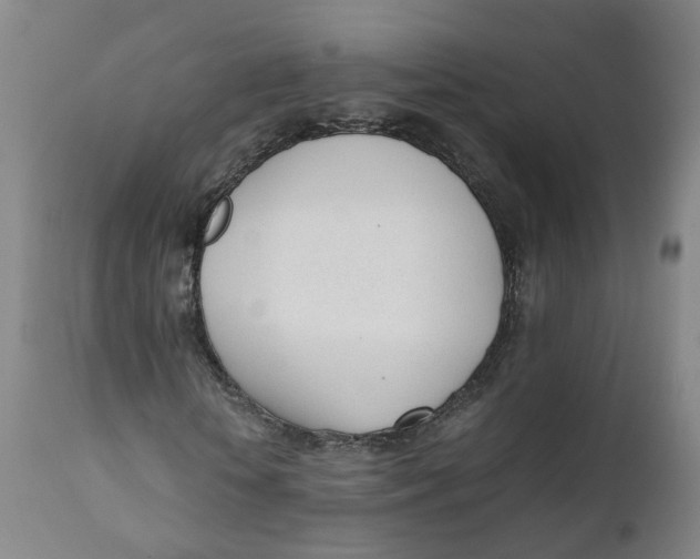 X0000111780818200908131346