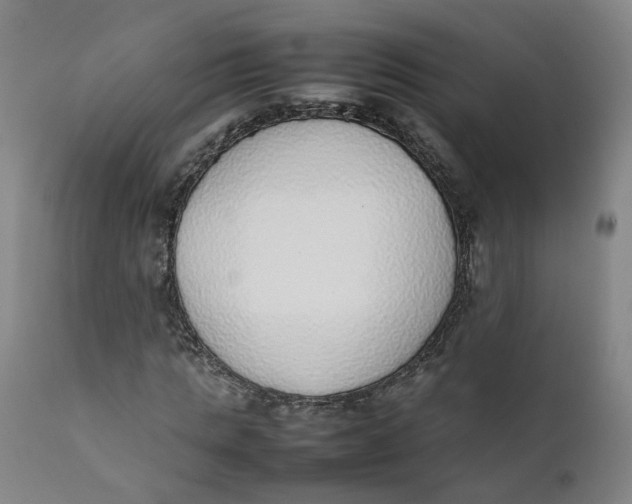 X0000111780821200908131346