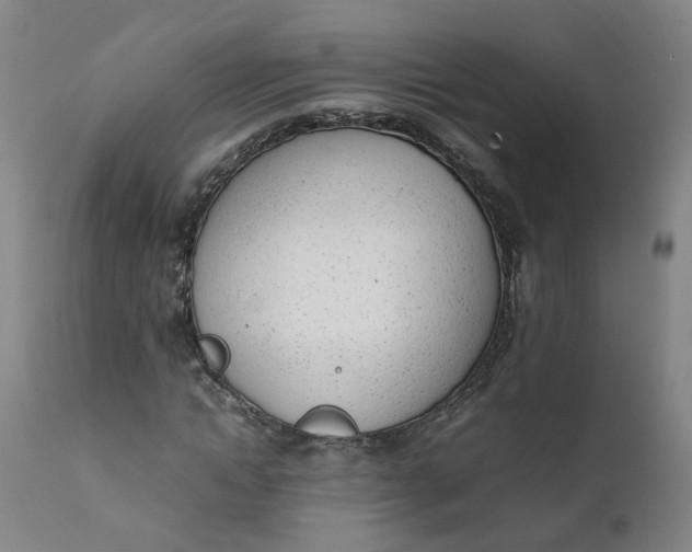 X0000111780822200908131346