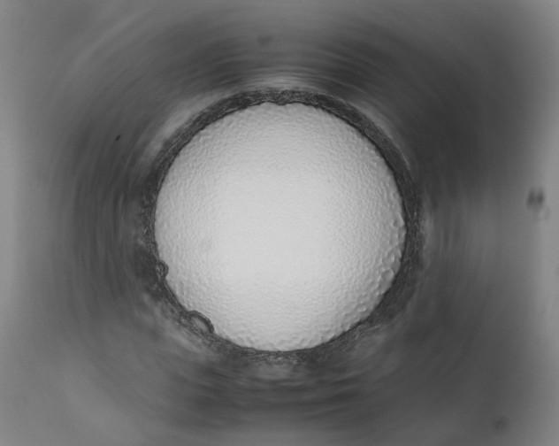 X0000111780823200908131346