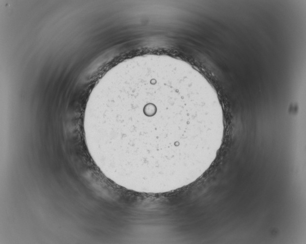 X0000111780824200908131346