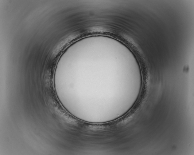 X0000111780825200908131346