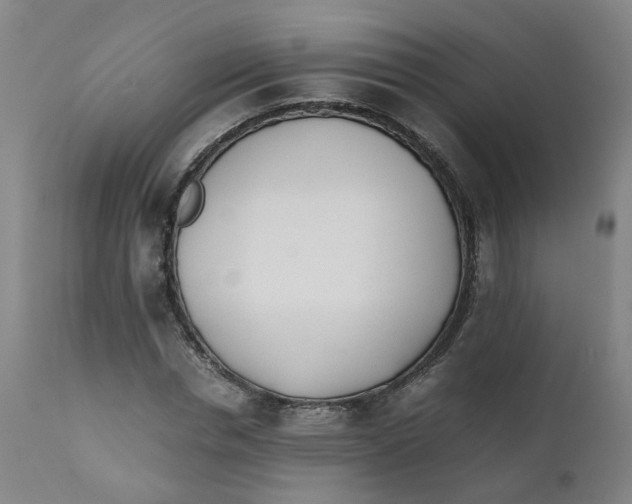 X0000111780826200908131346