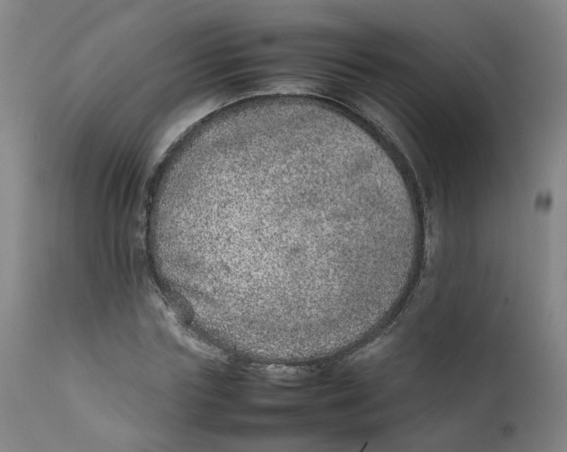 X0000111780827200908131346