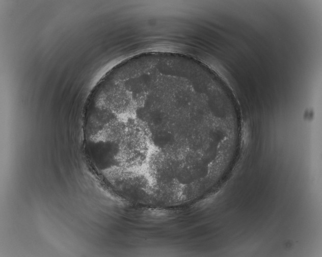 X0000111780829200908131346
