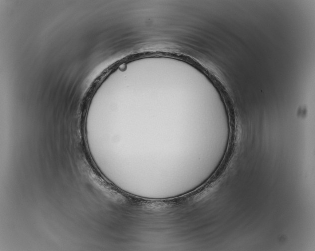 X0000111780830200908131346