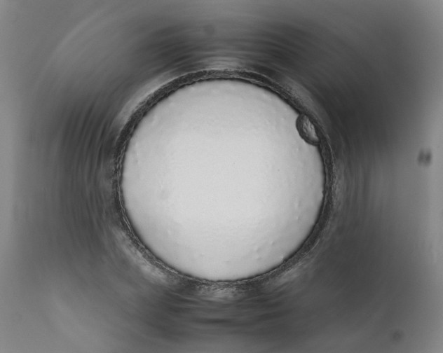 X0000111780831200908131346