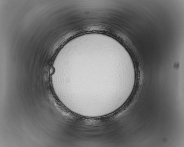 X0000111780833200908131346