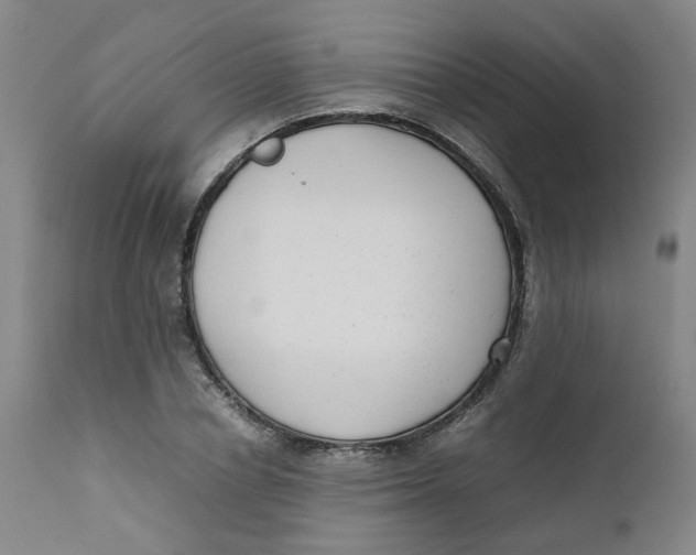 X0000111780834200908131346