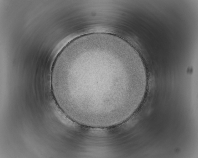 X0000111780836200908131346