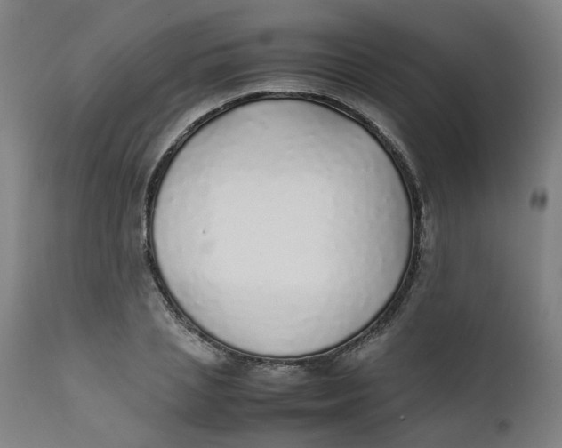 X0000111780837200908131346