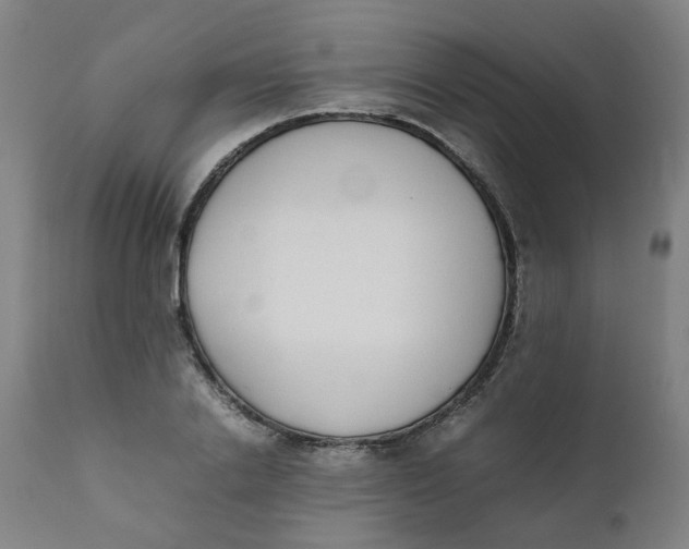 X0000111780838200908131346