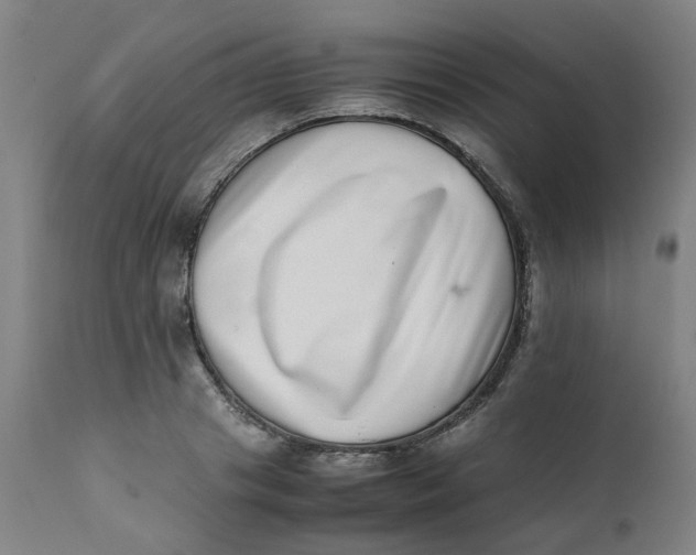 X0000111780841200908131346