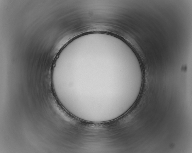 X0000111780842200908131346