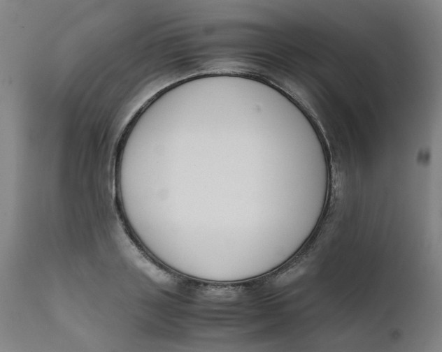 X0000111780843200908131346