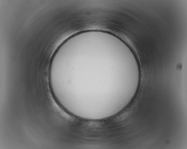 X0000111780847200908131346