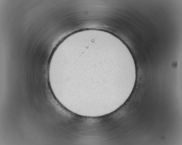 X0000111780848200908131346