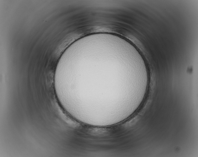 X0000111780849200908131346