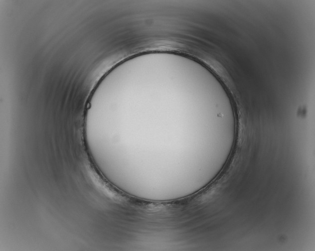 X0000111780850200908131346