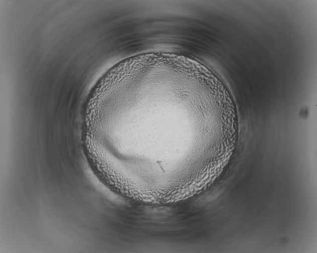 X0000111780851200908131346