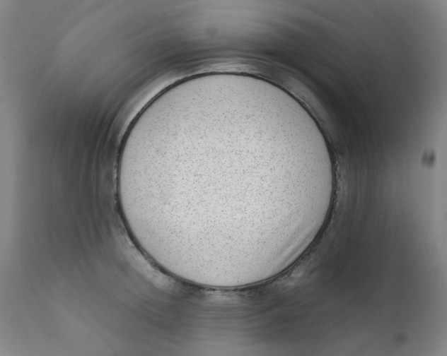 X0000111780852200908131346