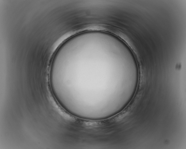 X0000111780853200908131346