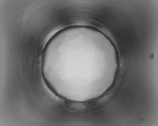 X0000111780855200908131346
