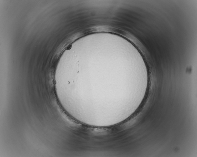 X0000111780857200908131346