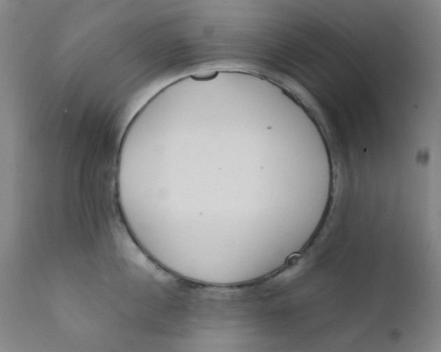 X0000111780860200908131347