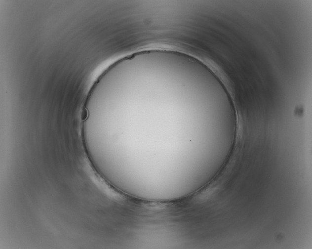 X0000111780862200908131347